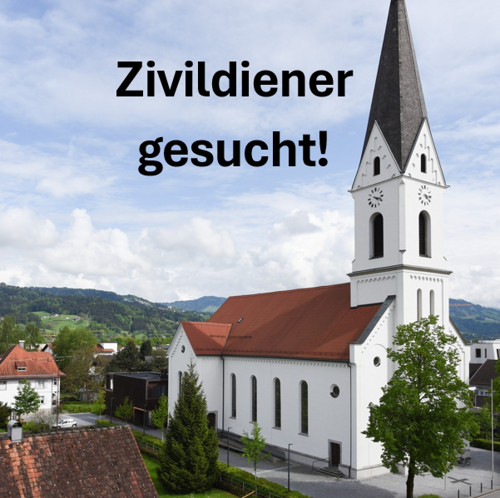 Zivildiener gesucht